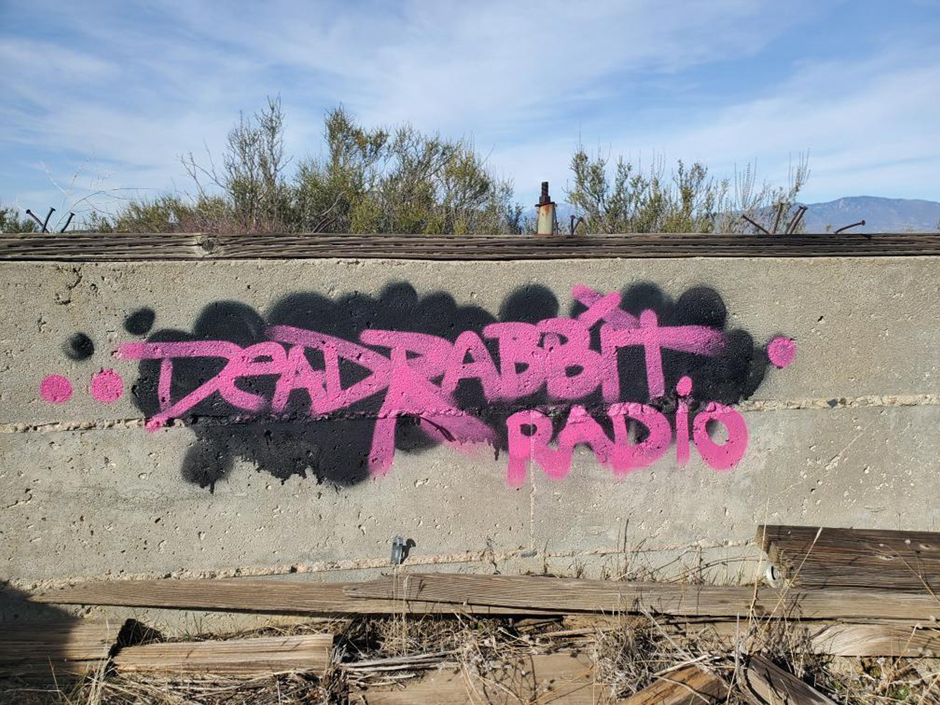 EP 936 - Is The Gang Stalking Delusion Contagious?
