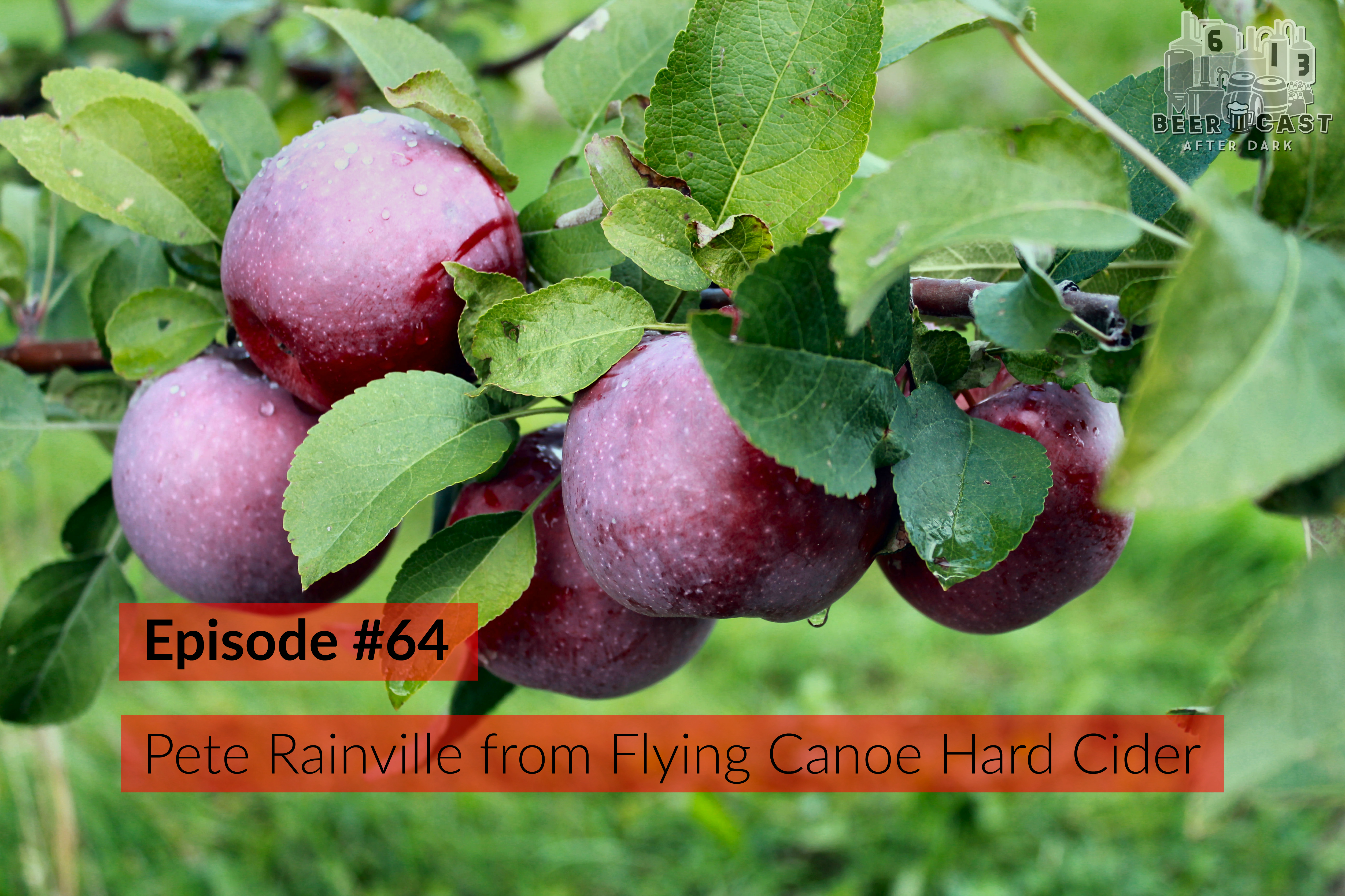613BeerCast