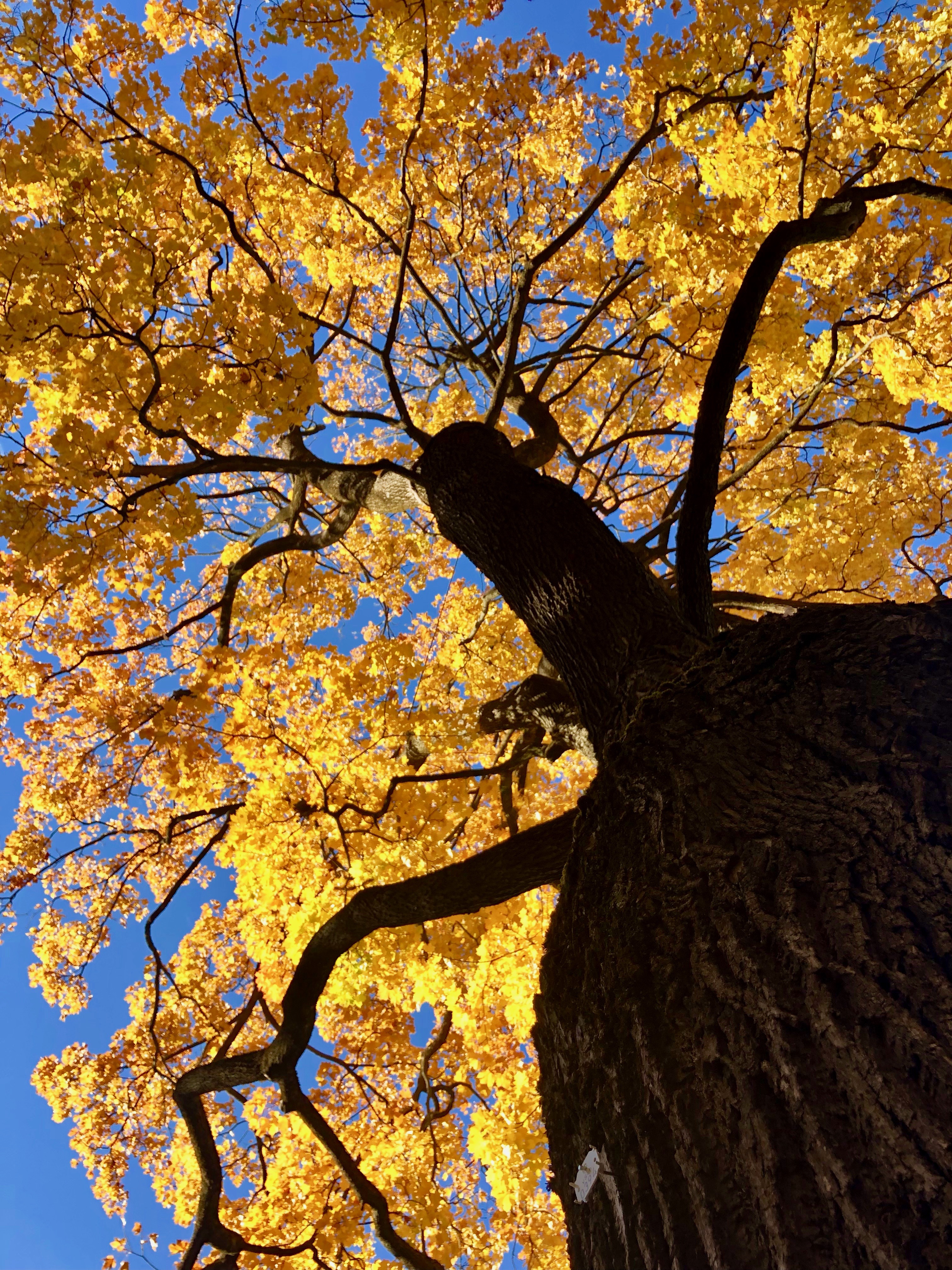 Spirit Source Connect: Infusing Spirit to Transform Your Life