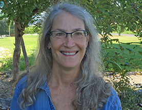 Regenerative Farming Techniques: The Role Soil Health Plays In Sustainable Agriculture