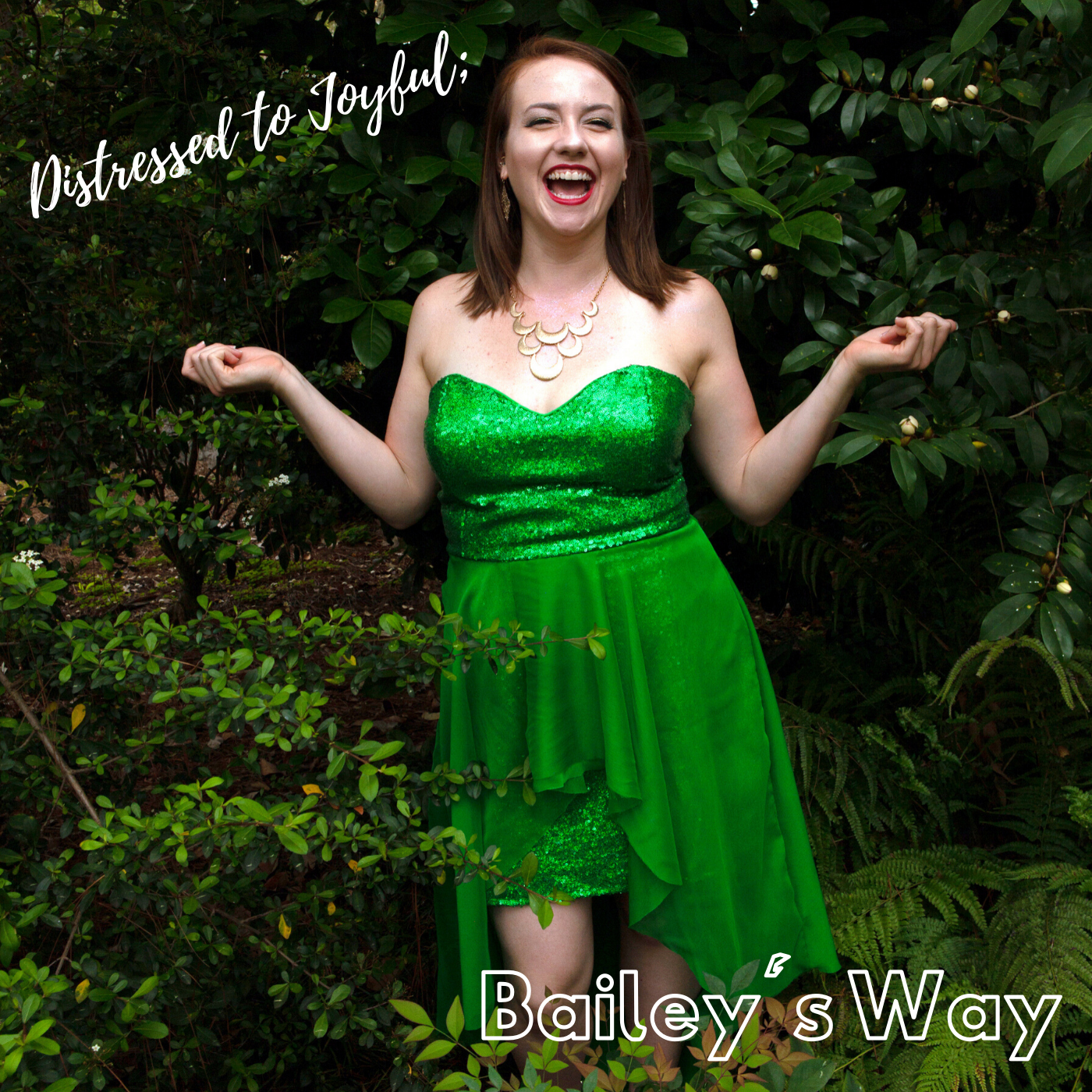 Distressed to Joyful; Bailey\'s Way