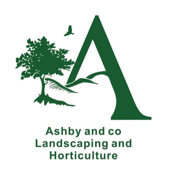 Can you be qualified and run wildly profitable business? Sam Ashby Can you be qualified and run wildly profitable business? Sam Ashby