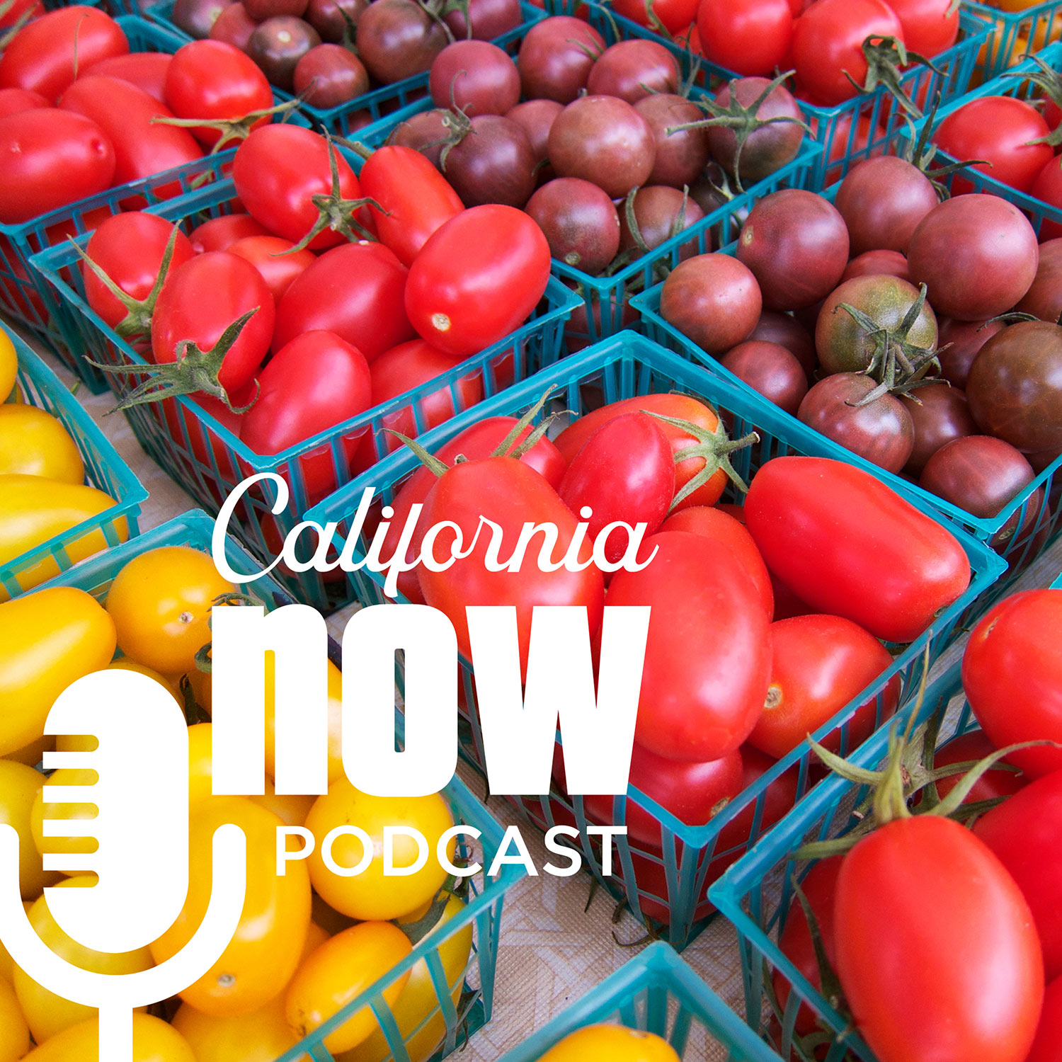 California Now Podcast