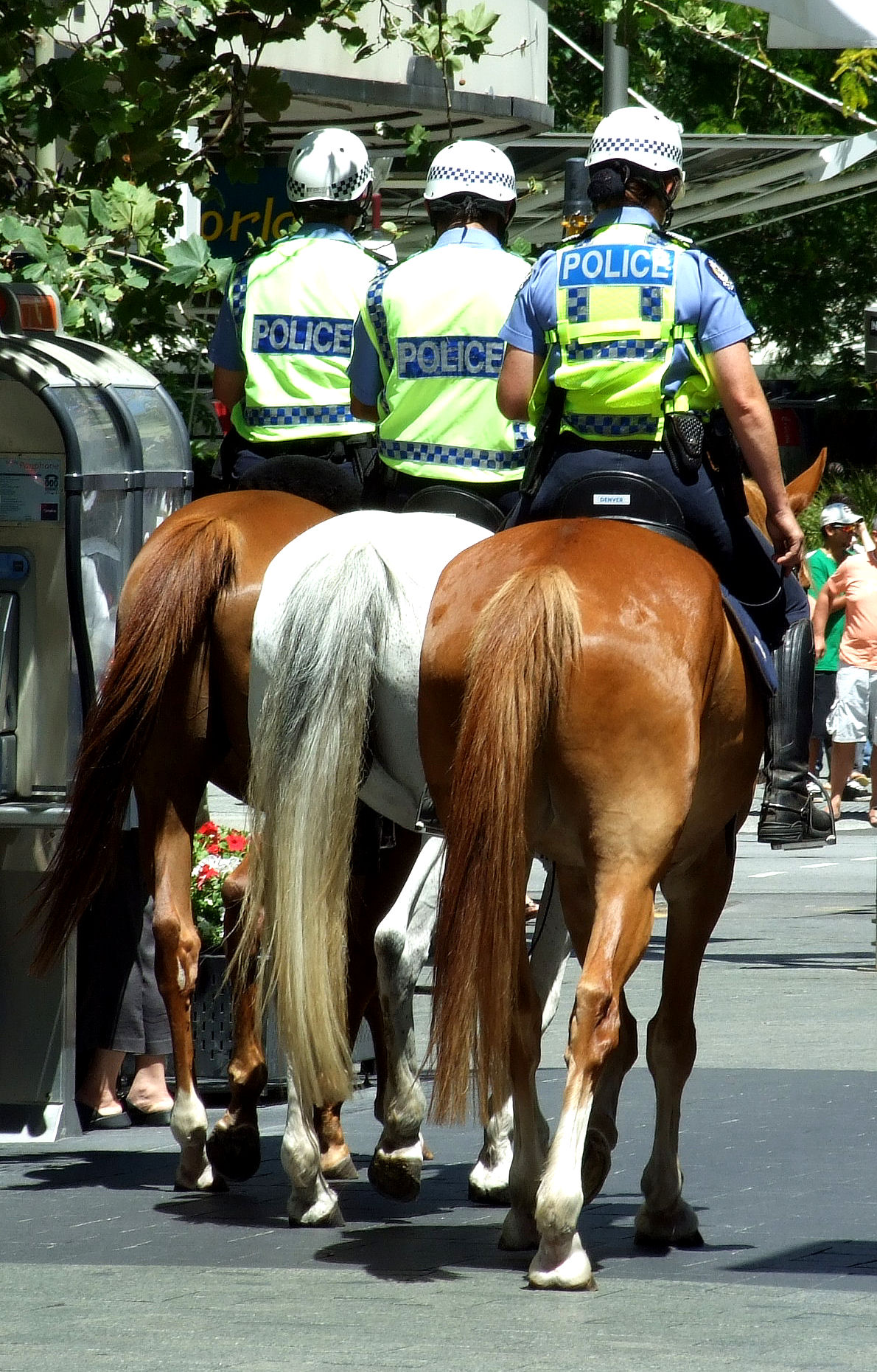 History of Policing
