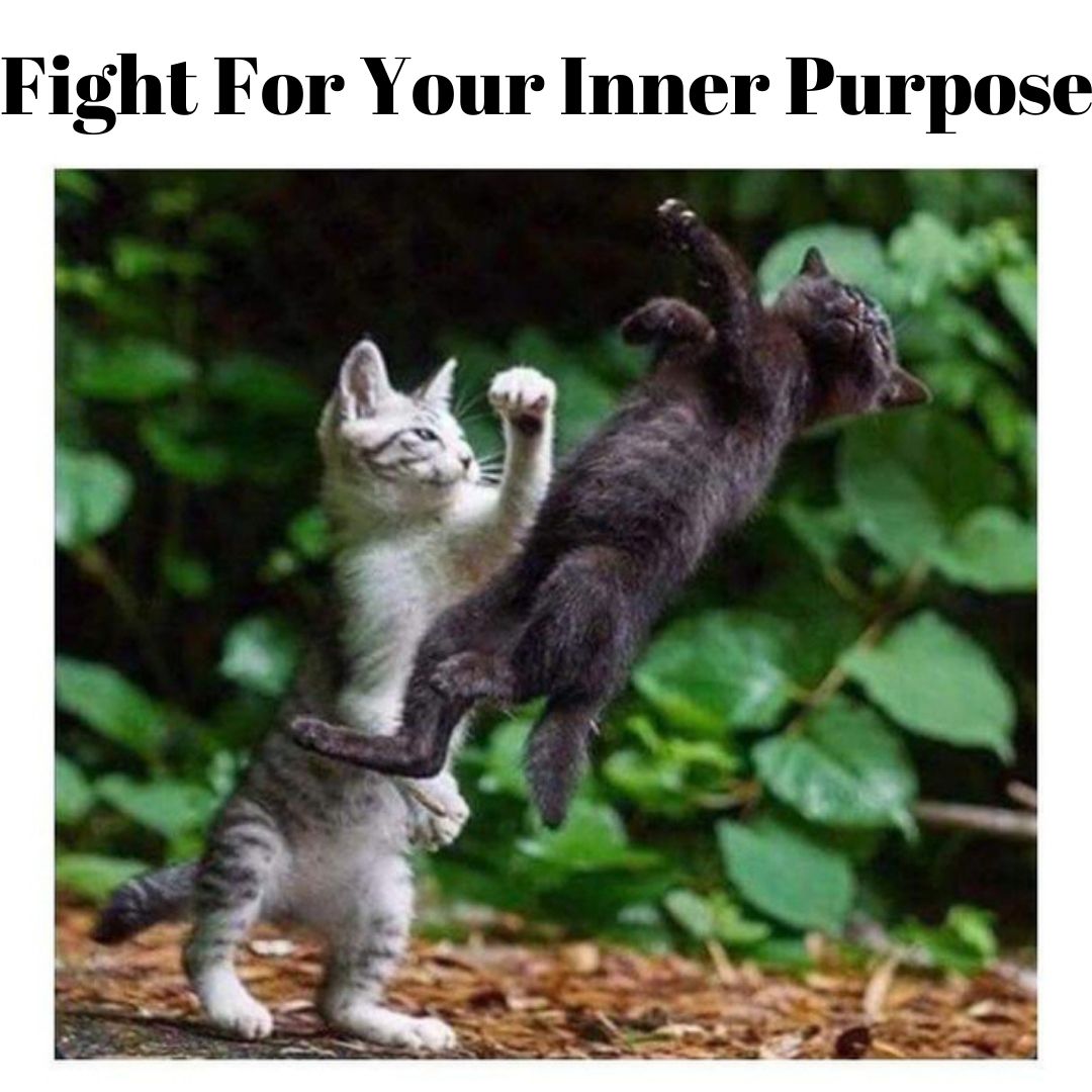 Fight For Your Inner Purpose