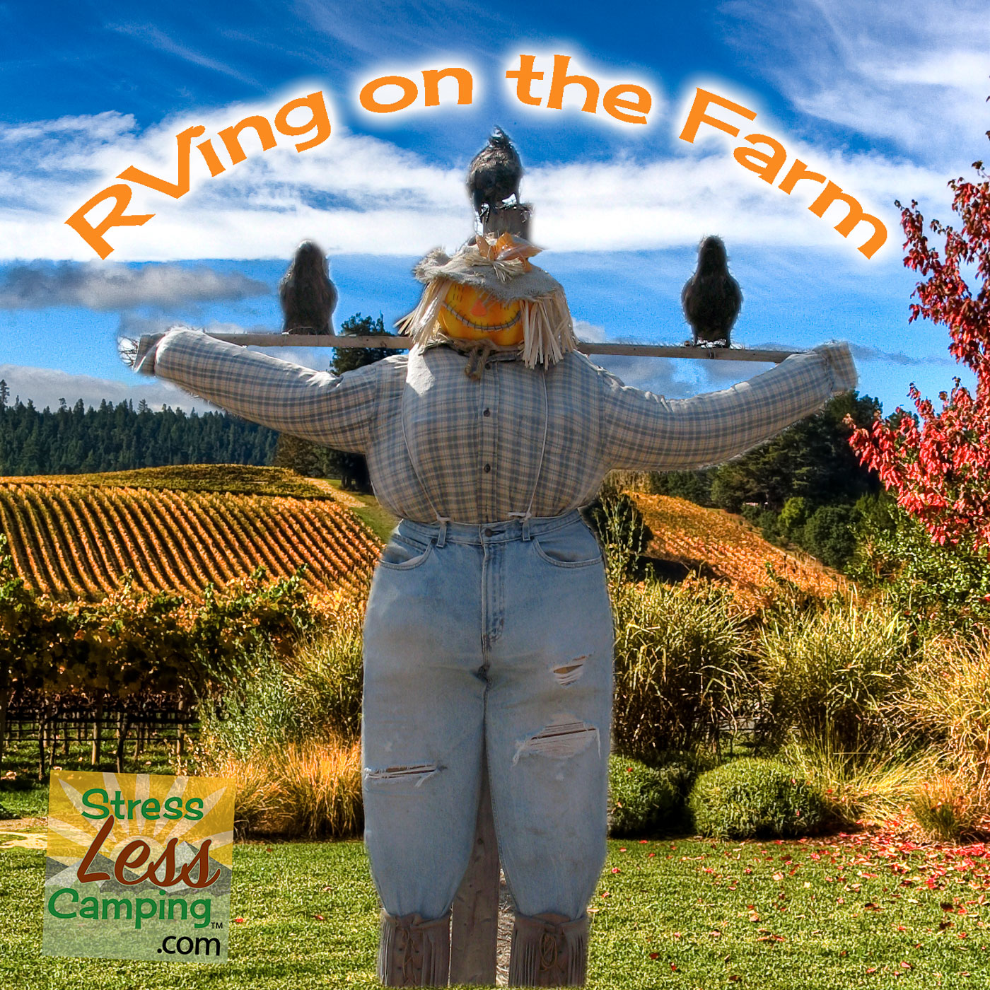 RVing on the Farm