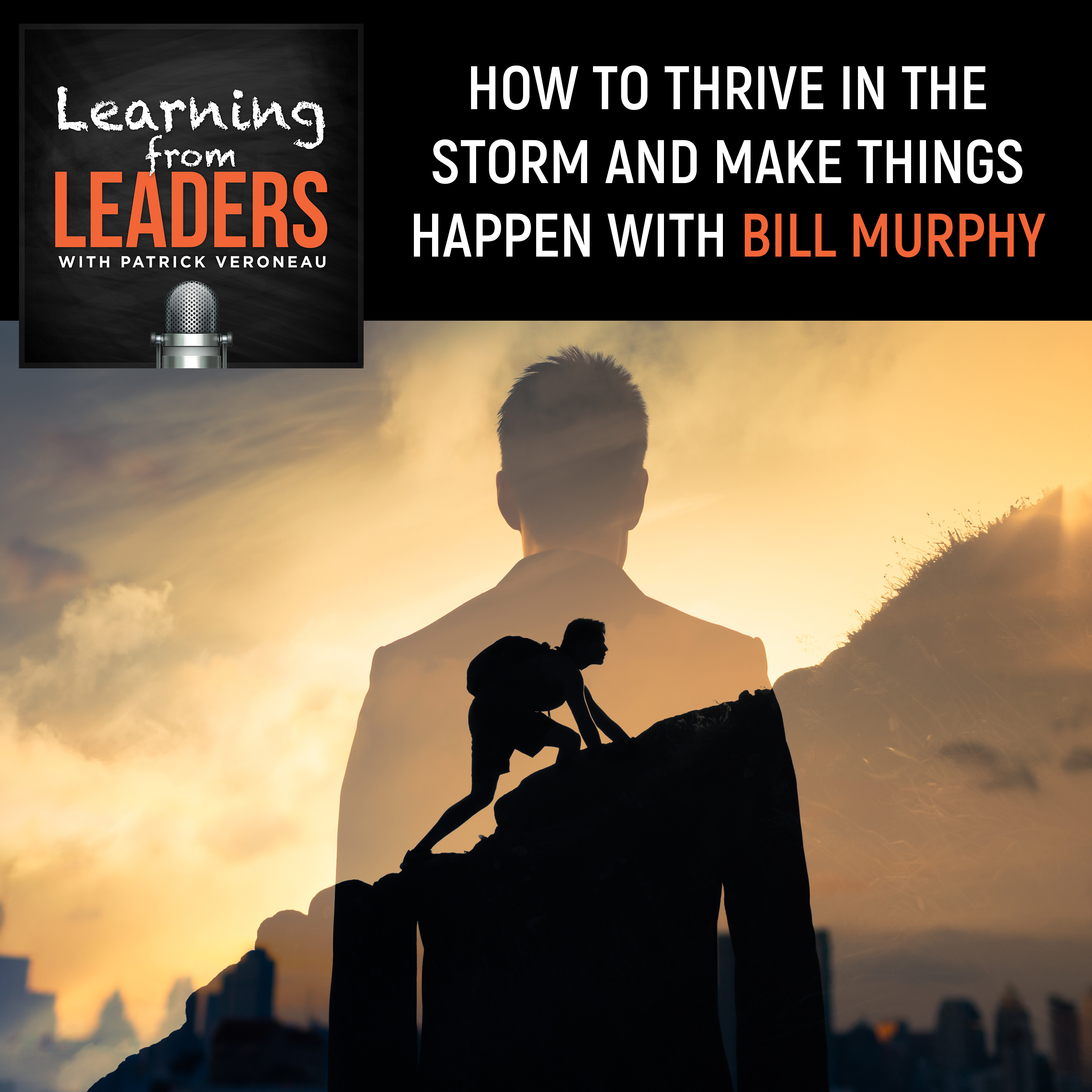 Learning from Leaders: Because Leaders are Learners