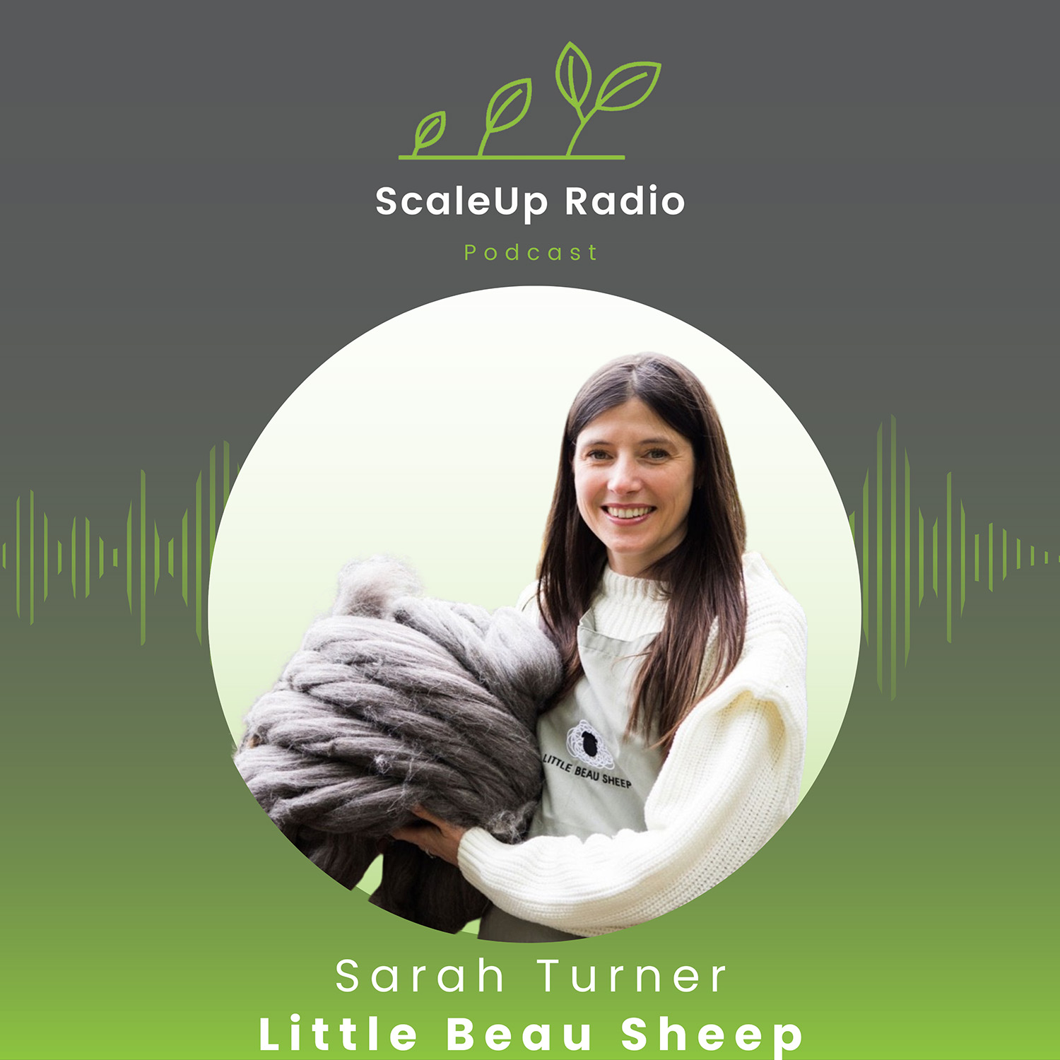 ScaleUp Radio