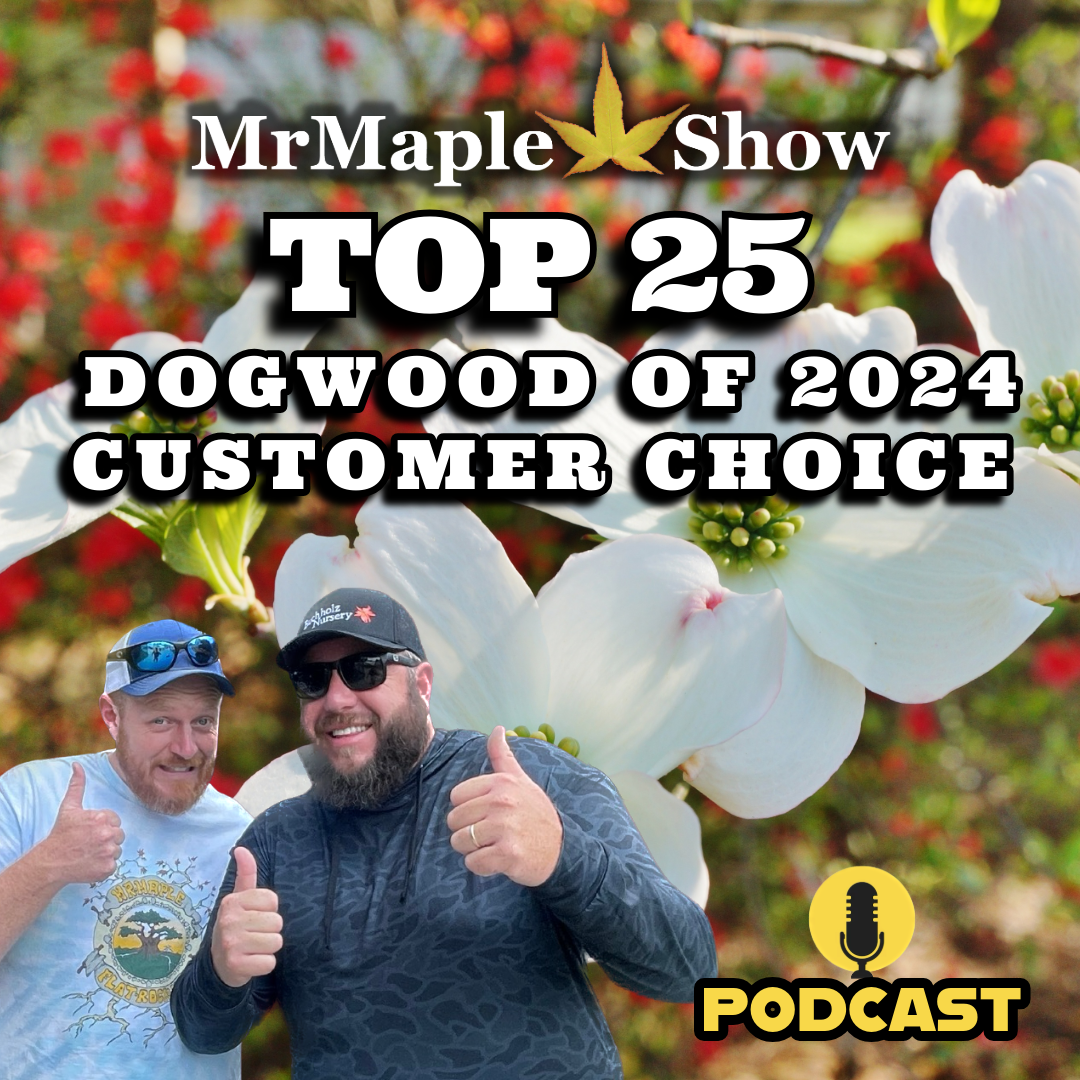 MrMaple Show