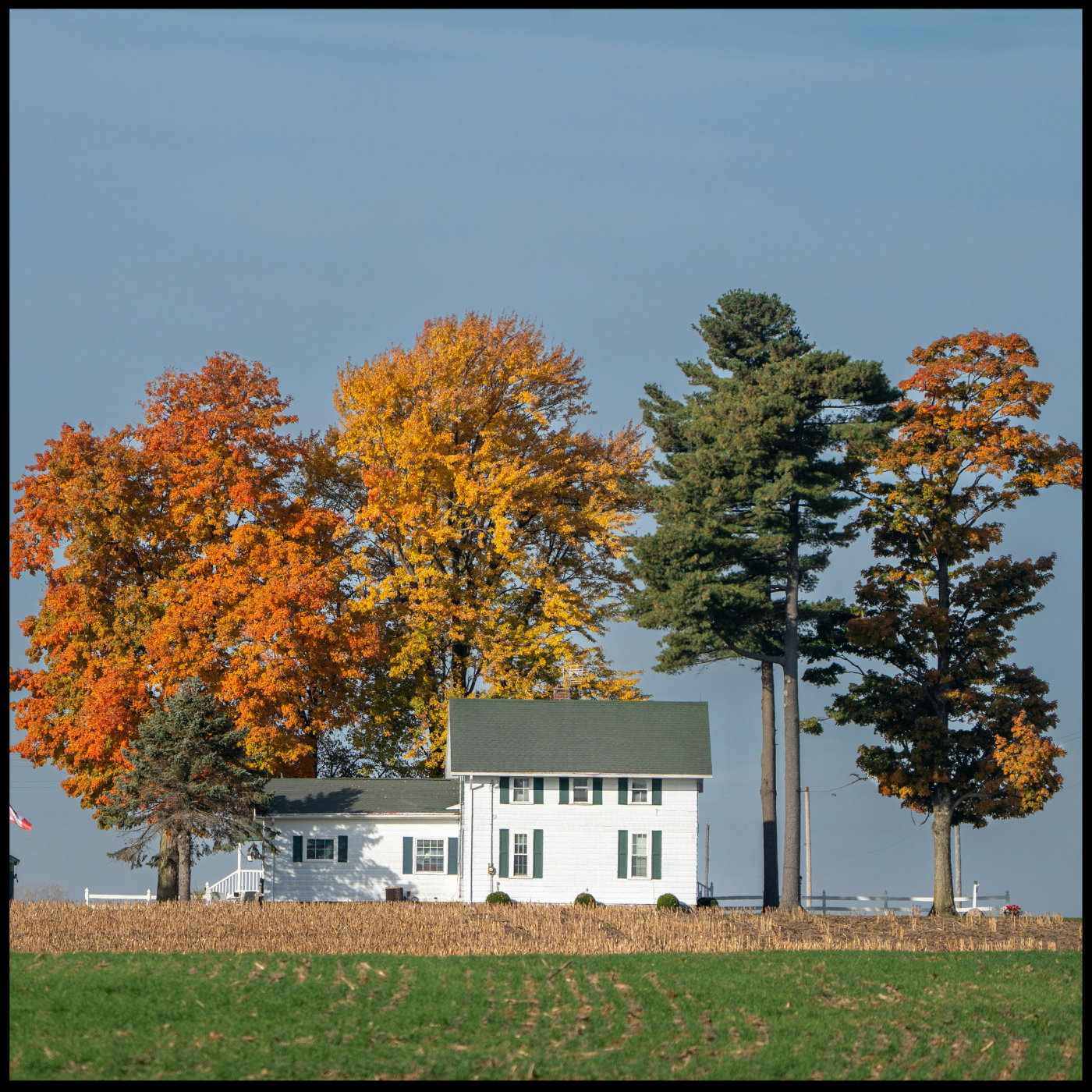 2389: Co-Living Real Estate and the Rent-to-Value Ratio: How to Generate $7,200 Monthly from a Single-Family Home | Q & A Rebel Capitalist