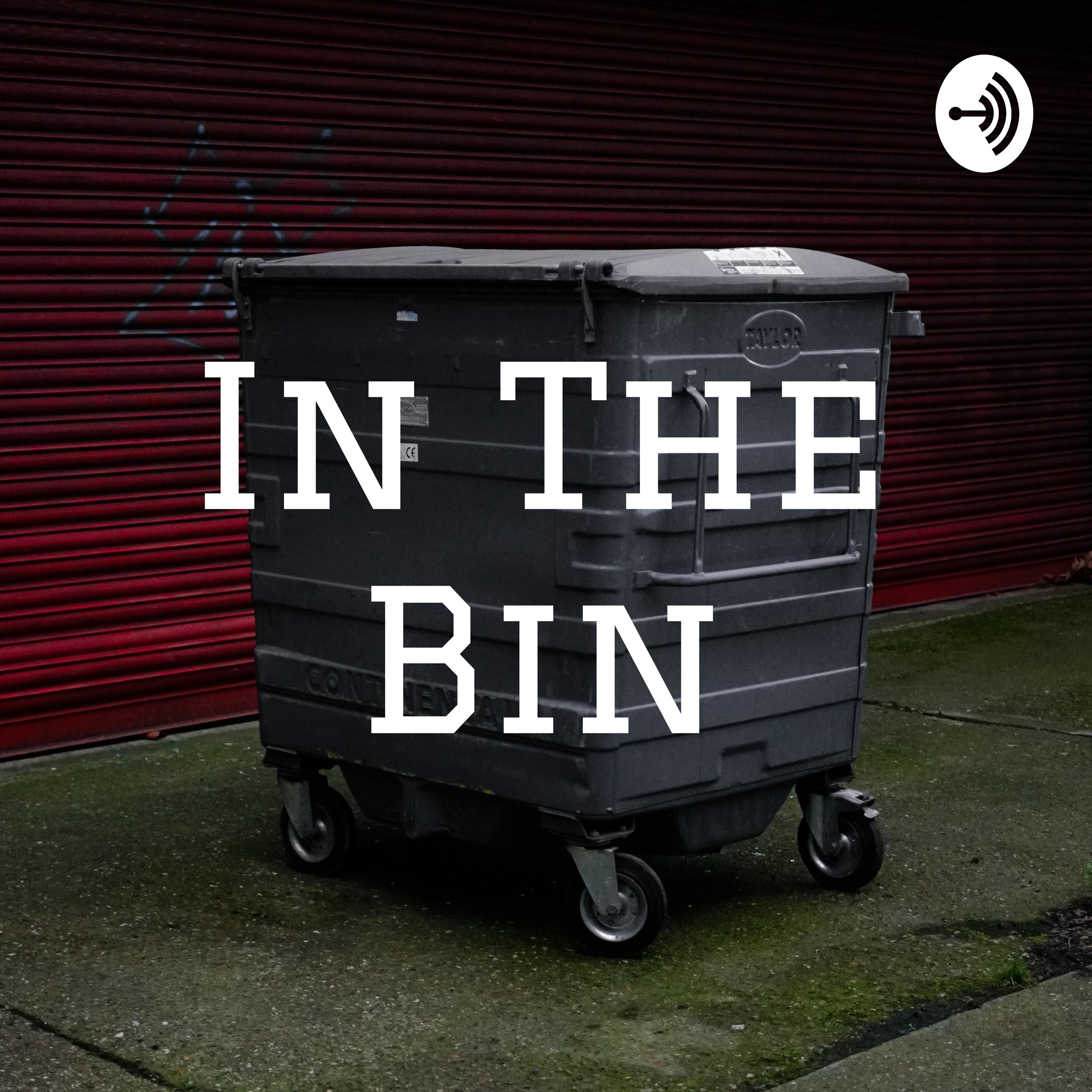 In the Bin cover art