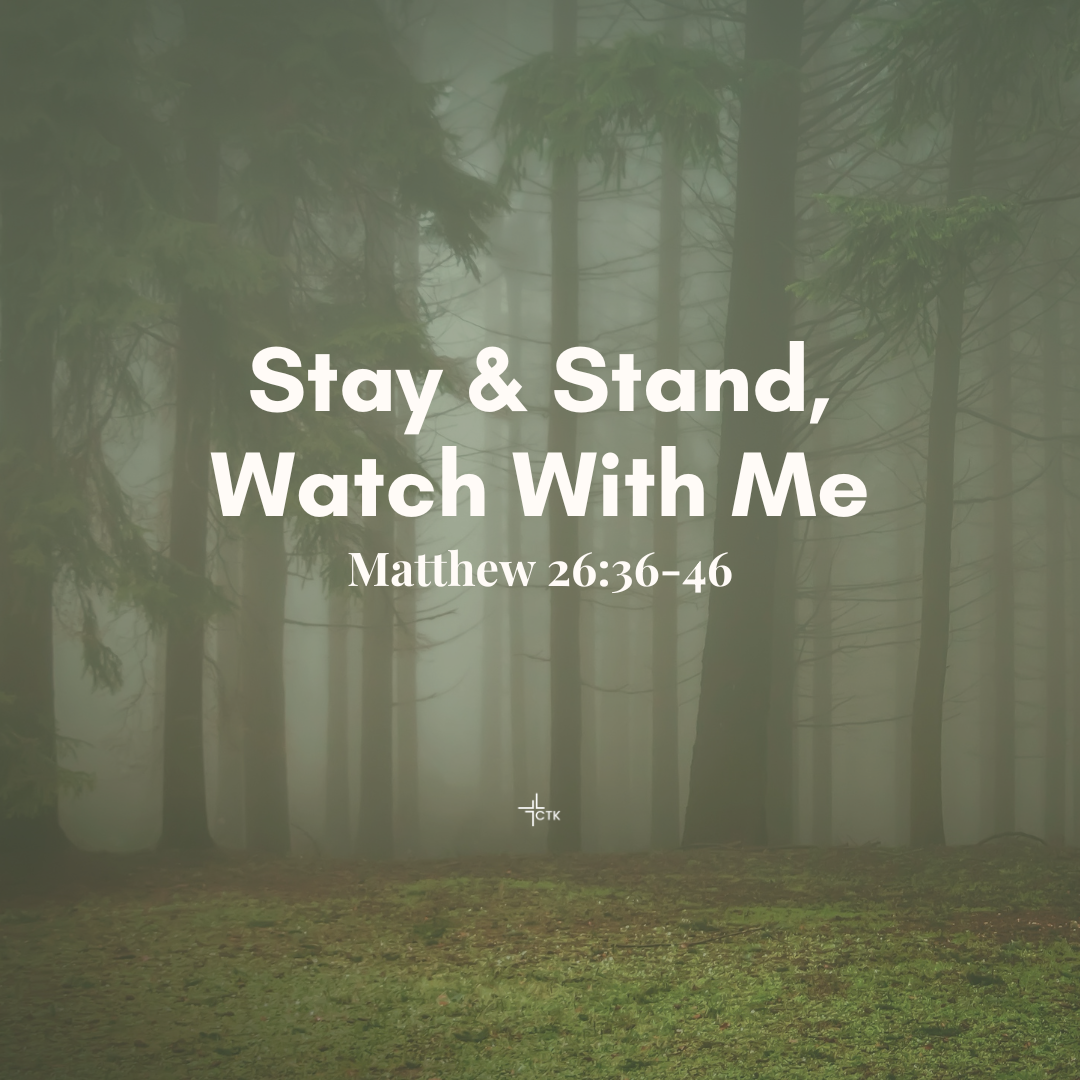 Stay & Stand, Watch With Me