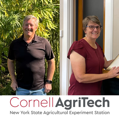 Inside Cornell AgriTech: Germplasm, Robots and Hemp
