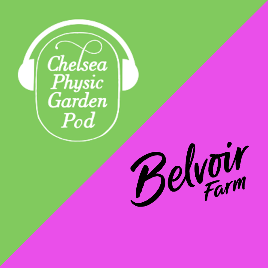 01: Ginger with Belvoir Farm