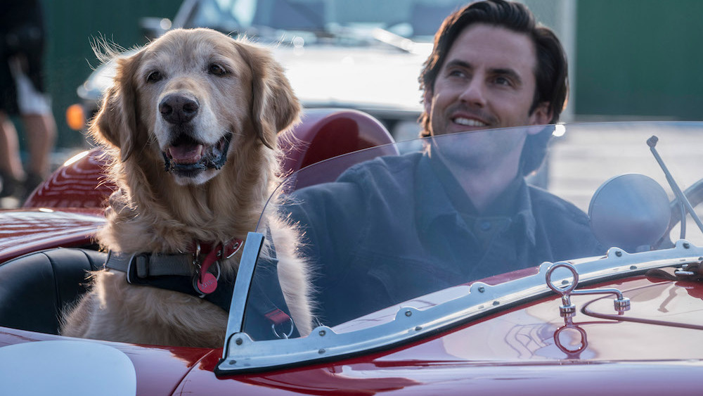 Once upon a time in hollywood