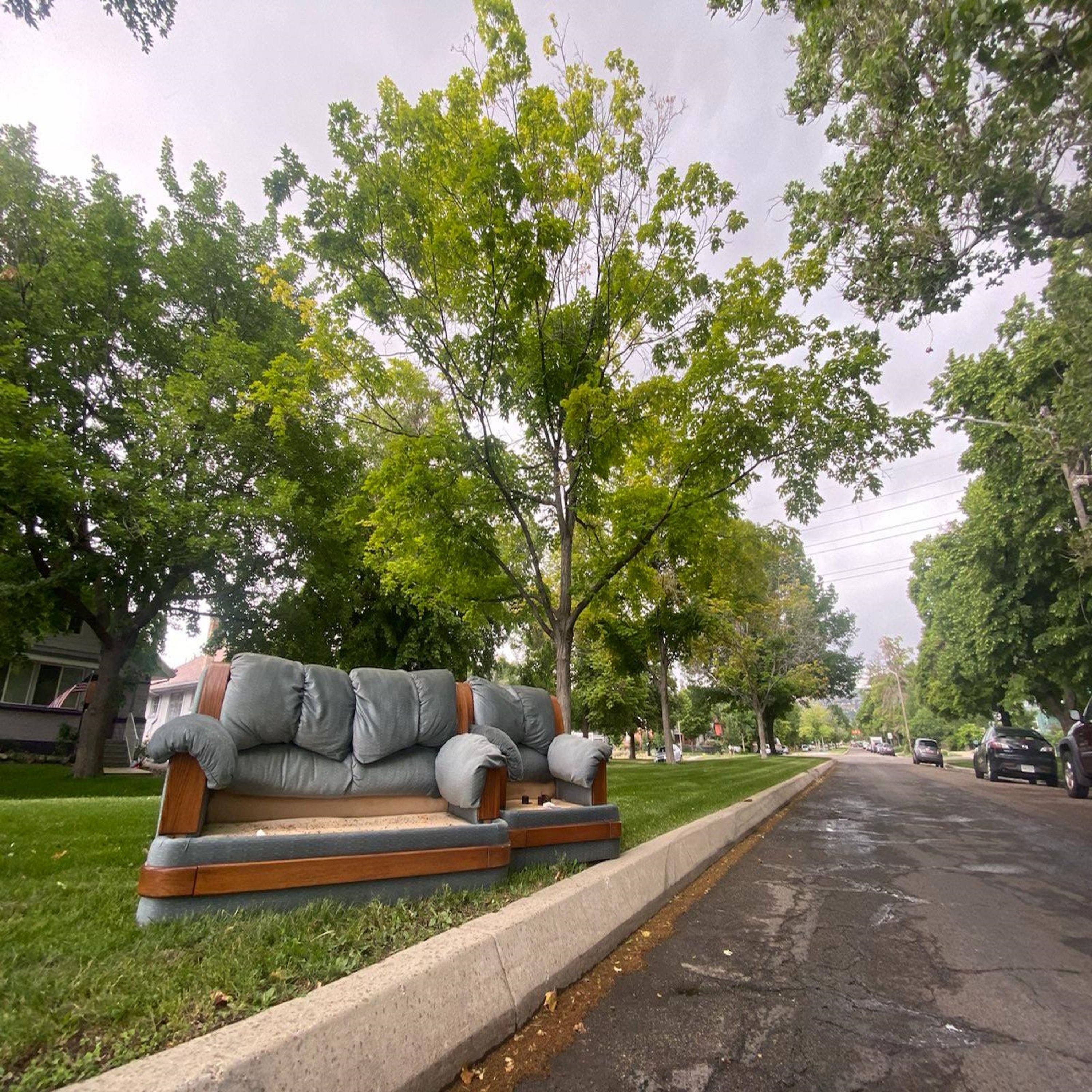 Spidercouch Collective