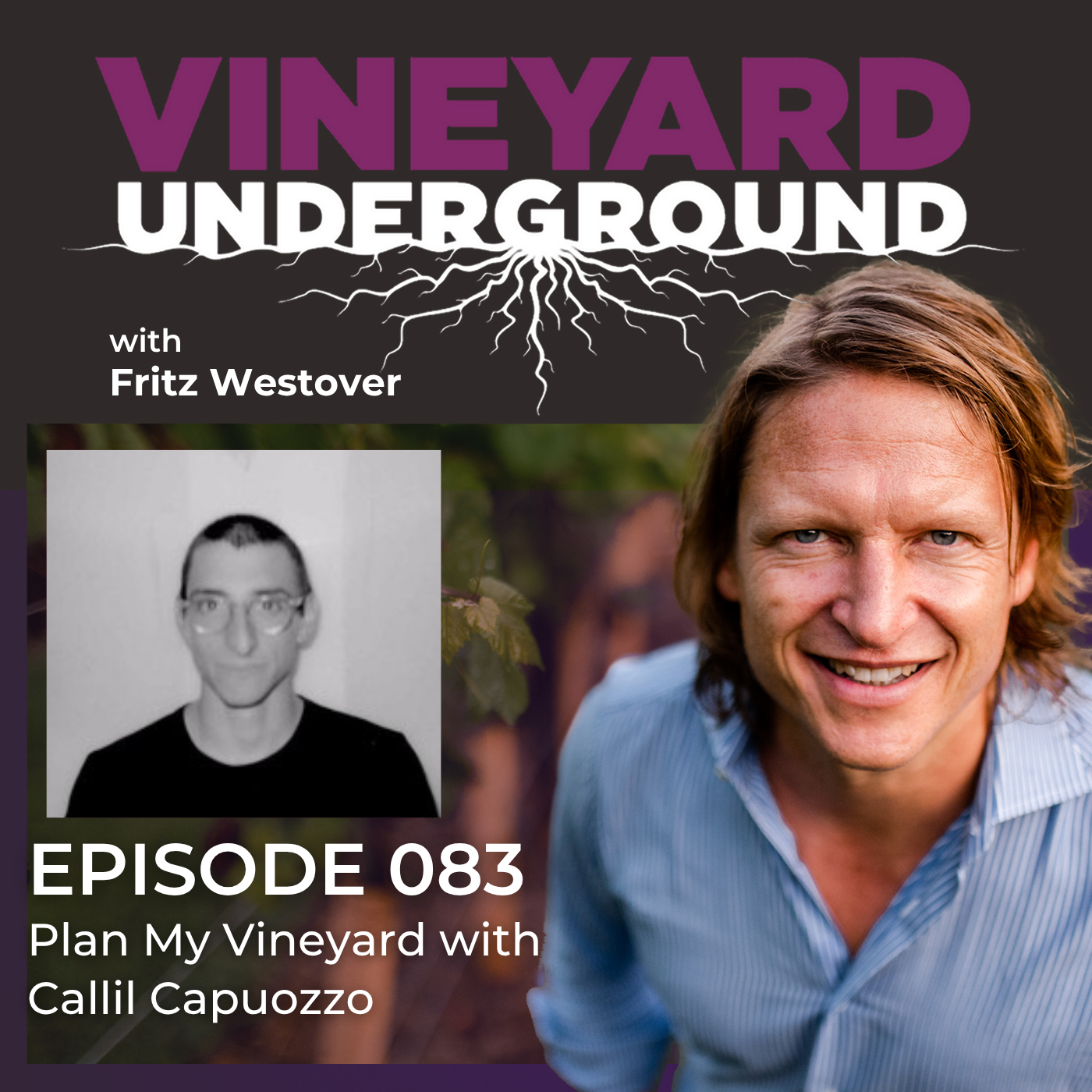 Vineyard Underground