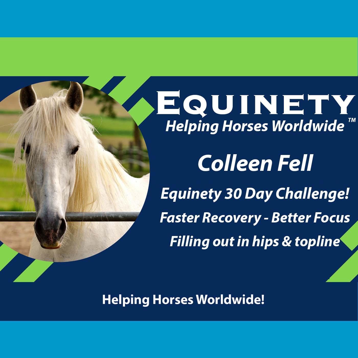 137 - Colleen Fell - Better Recovery - .More Focused - Shinier Coat - Topline - Hips