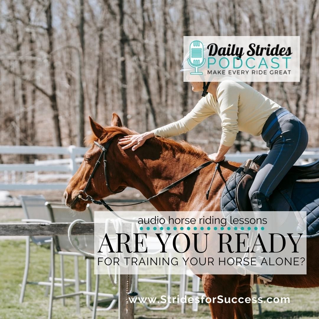 Are You Ready for Training Your Horse?