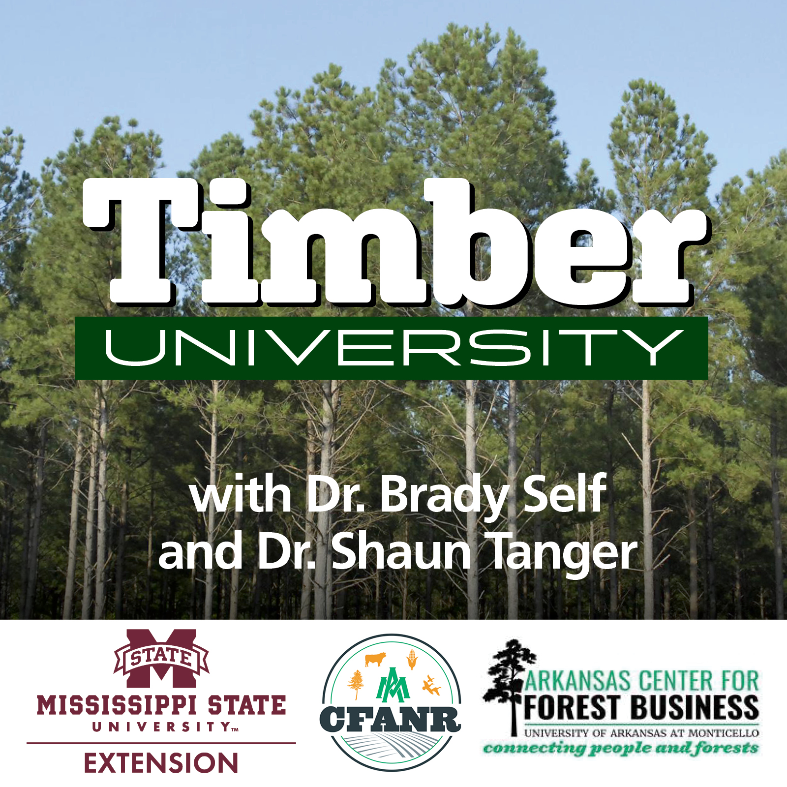 Timber University - Pine beetles and forest management concerns | #243