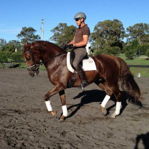 0743: Carlos DeCleermaecker LC - Ask Why? . . . is the canter good enough, is the horse sitting enough, is there enough relaxation in the horse for a flying change?  (Listeners' Choice)