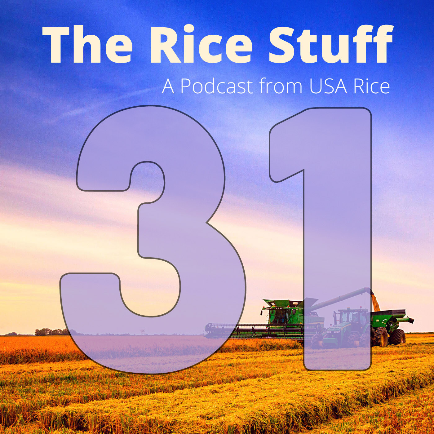 #31 Sitting Down with Chef Hari Cameron