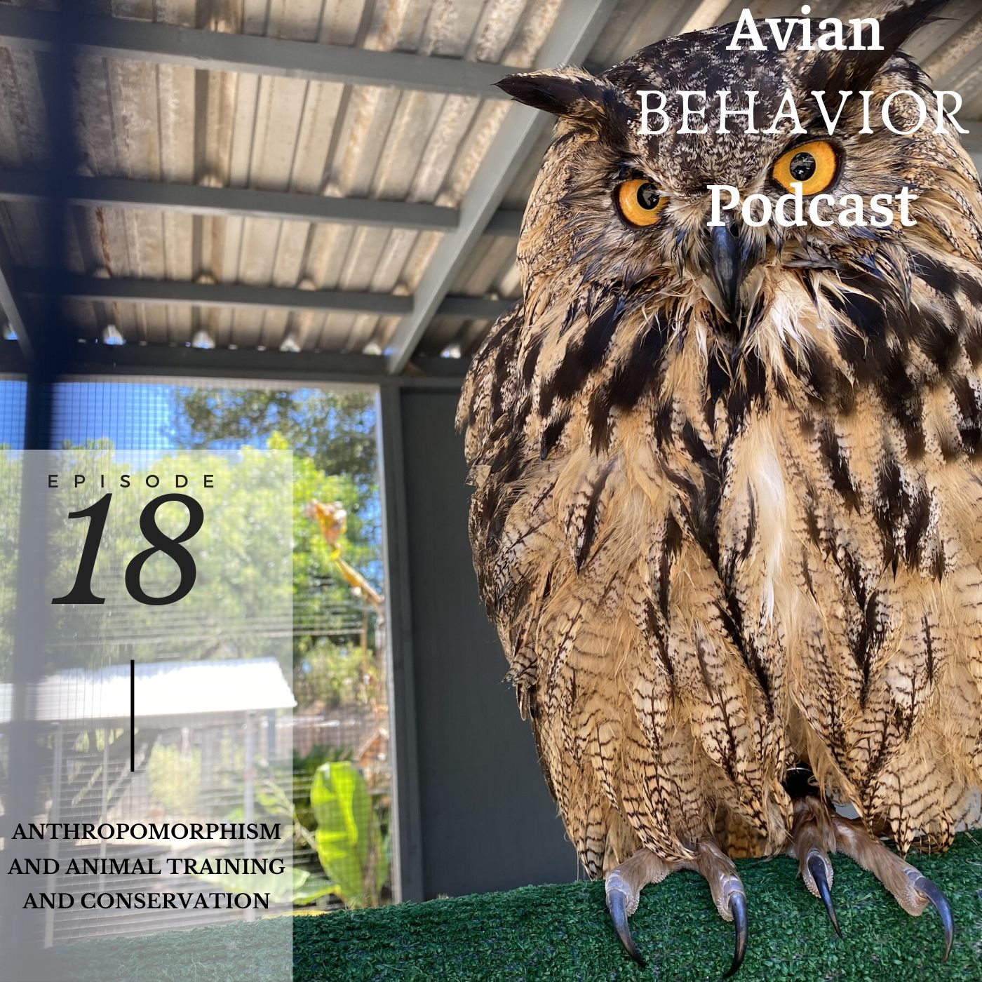 The Avian Behavior Podcast