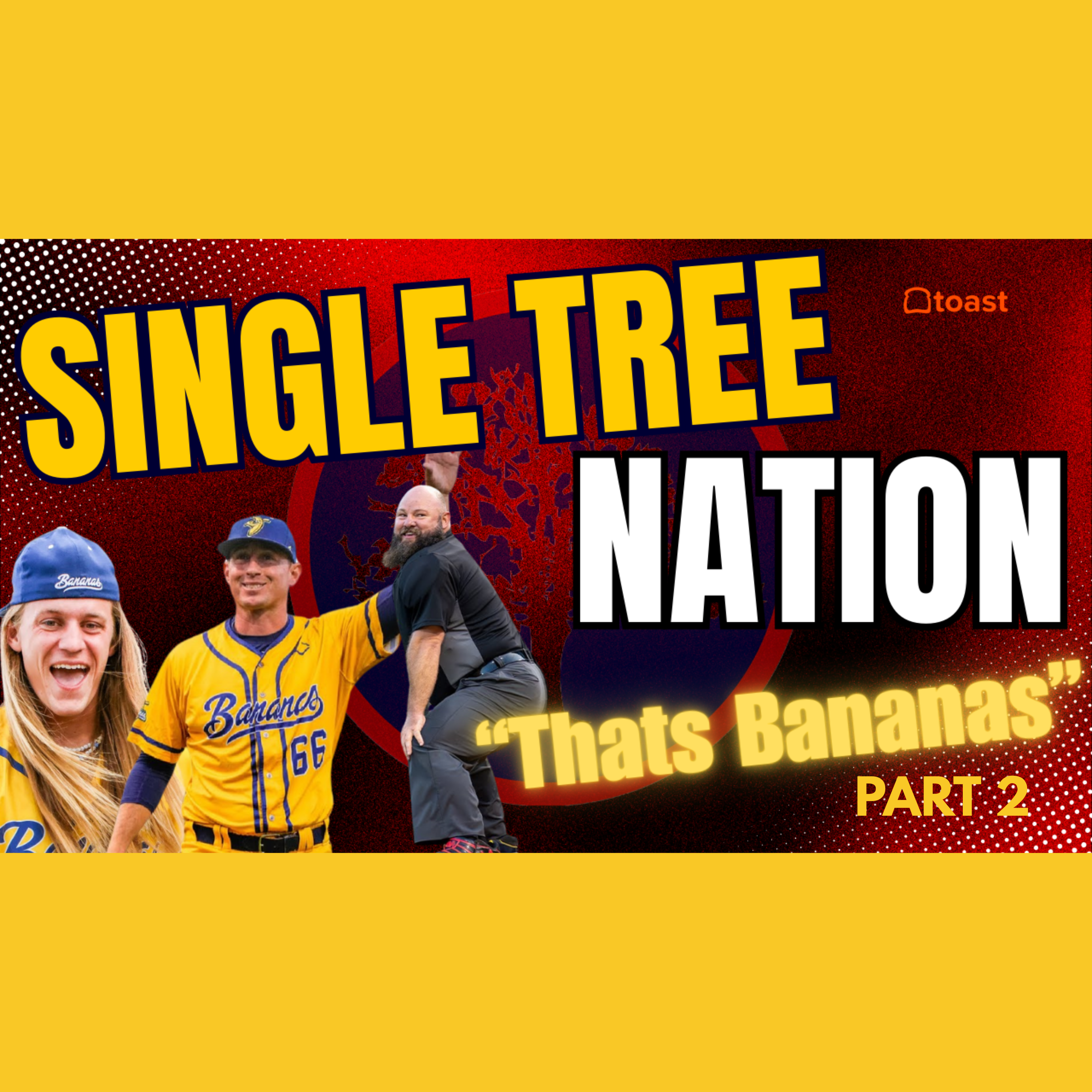 Single Tree Nation: Savannah Bananas - Part 2