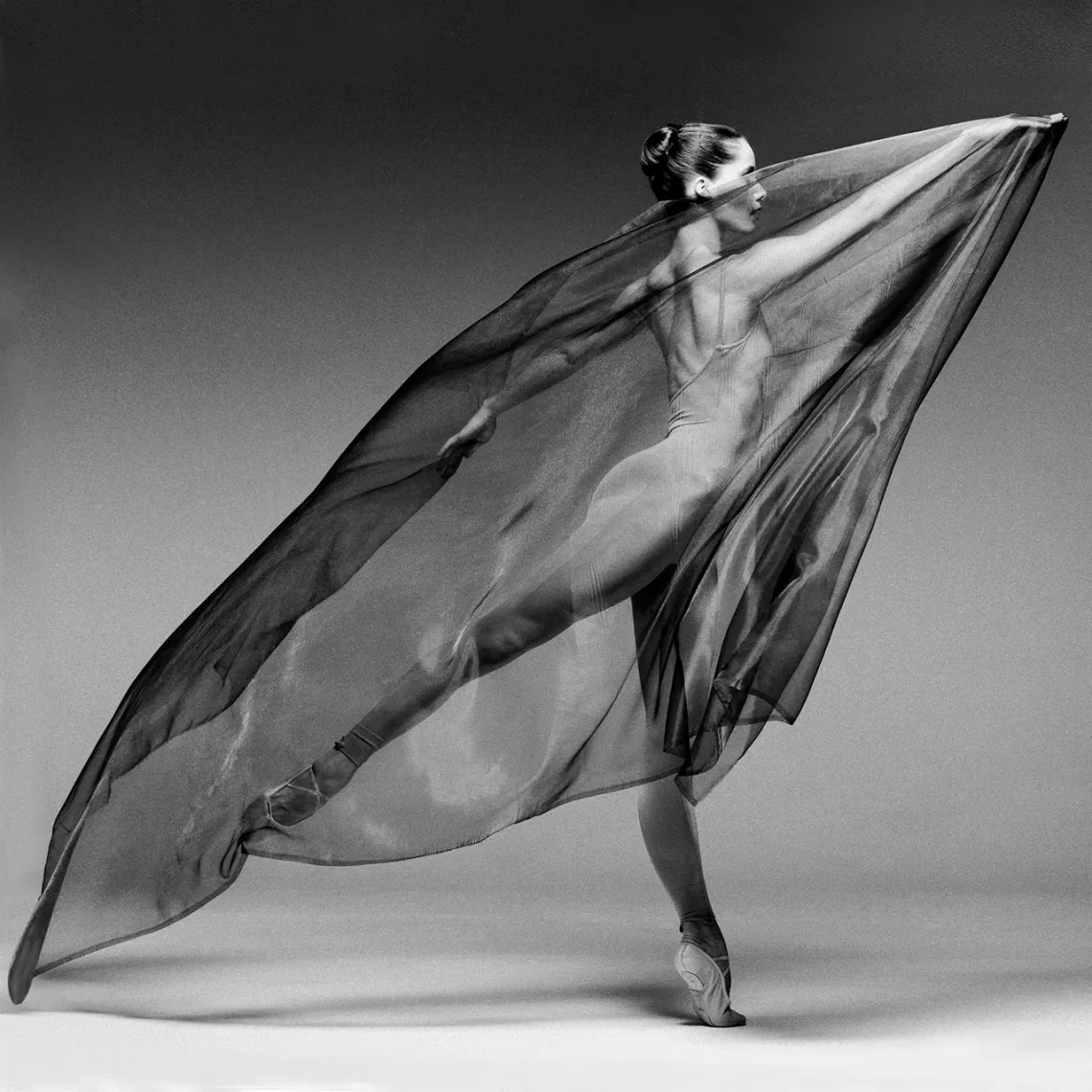1. Secrets of the Ballet
