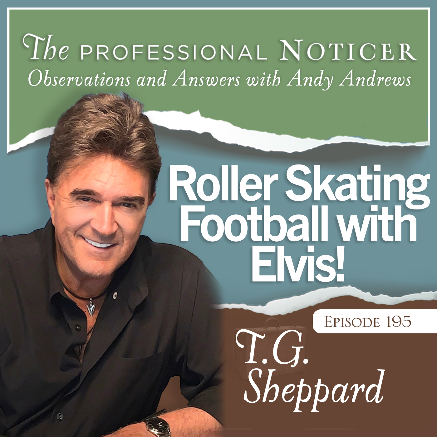 The Professional Noticer