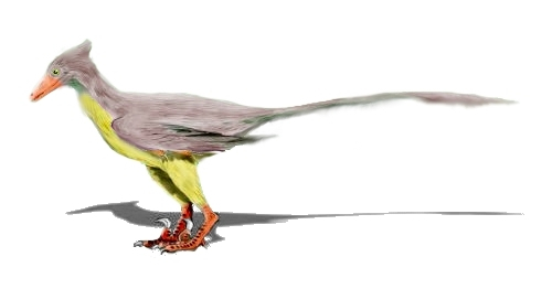 The Hummingbird Dinosaur