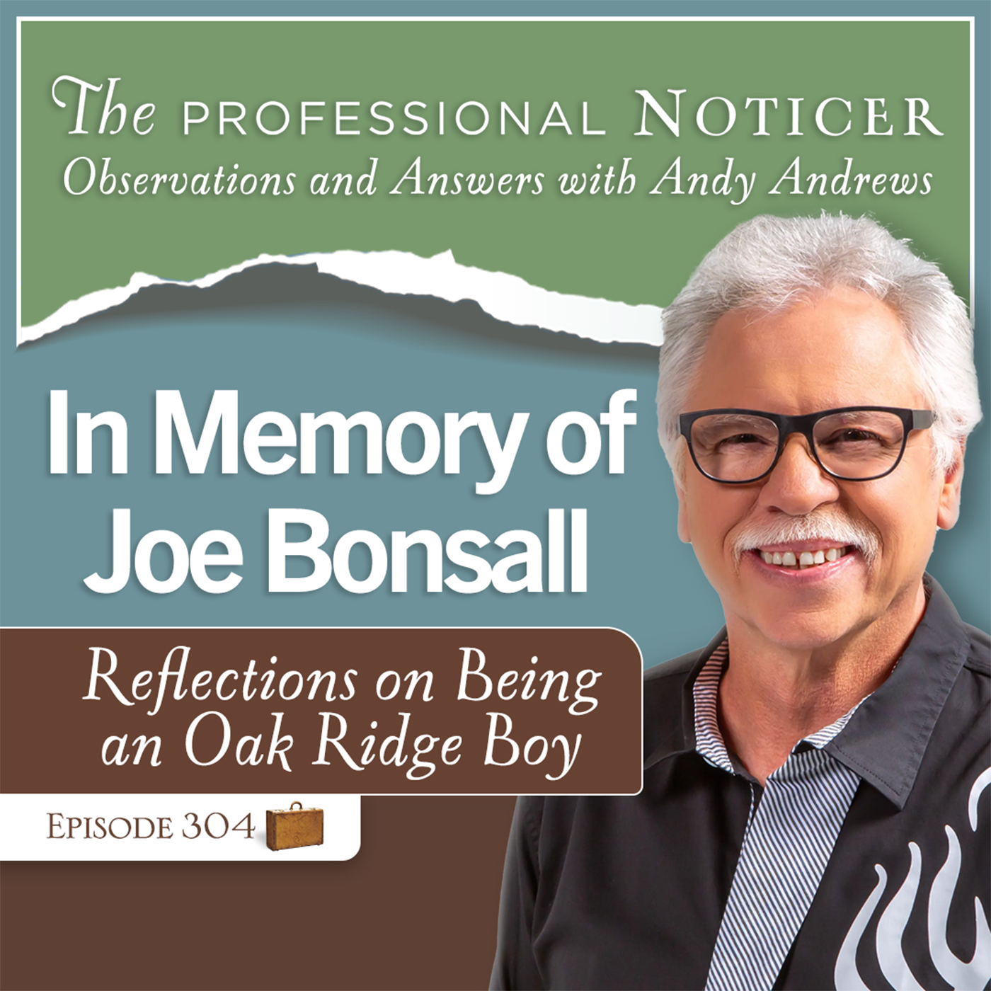 The Professional Noticer