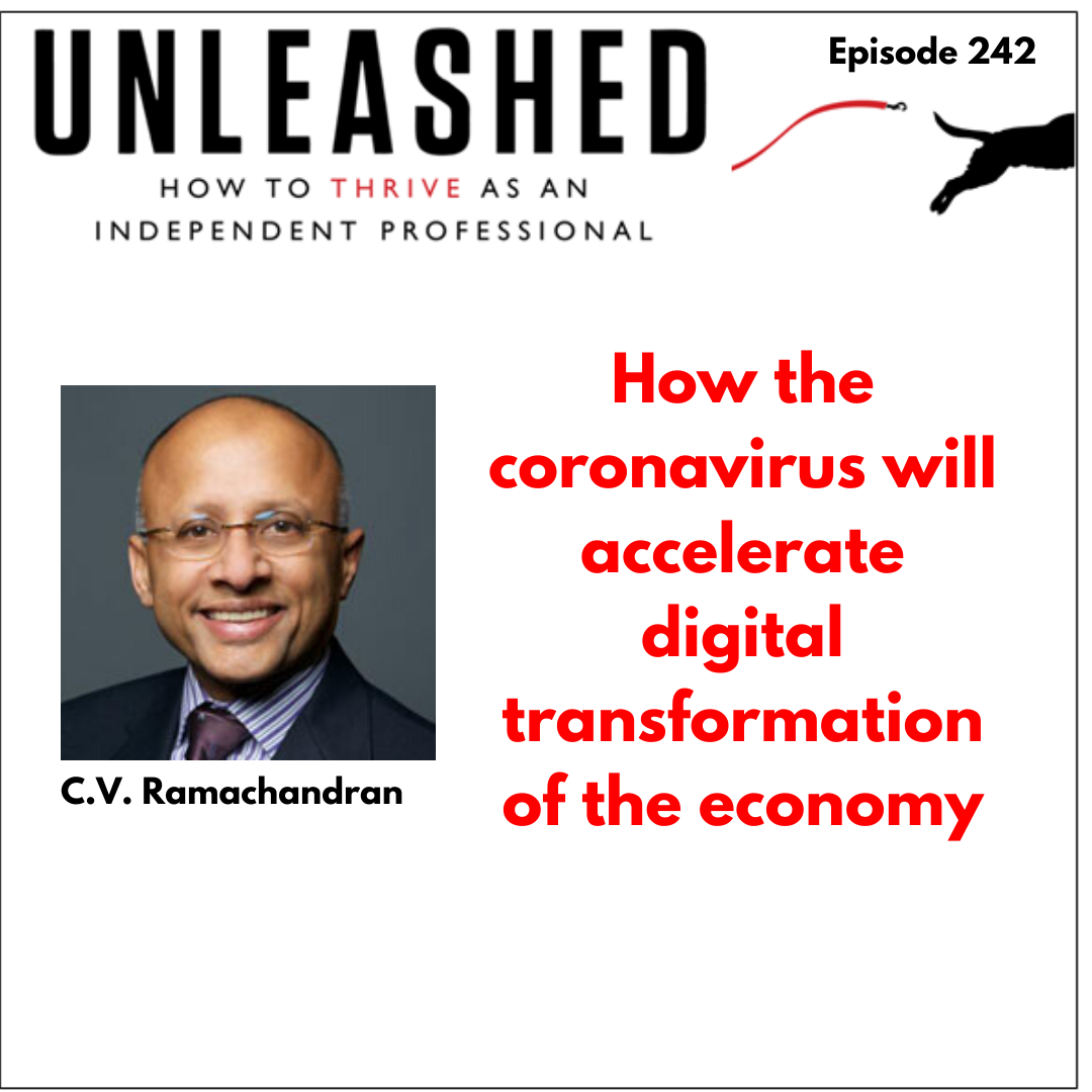 Unleashed - How to Thrive as an Independent Professional