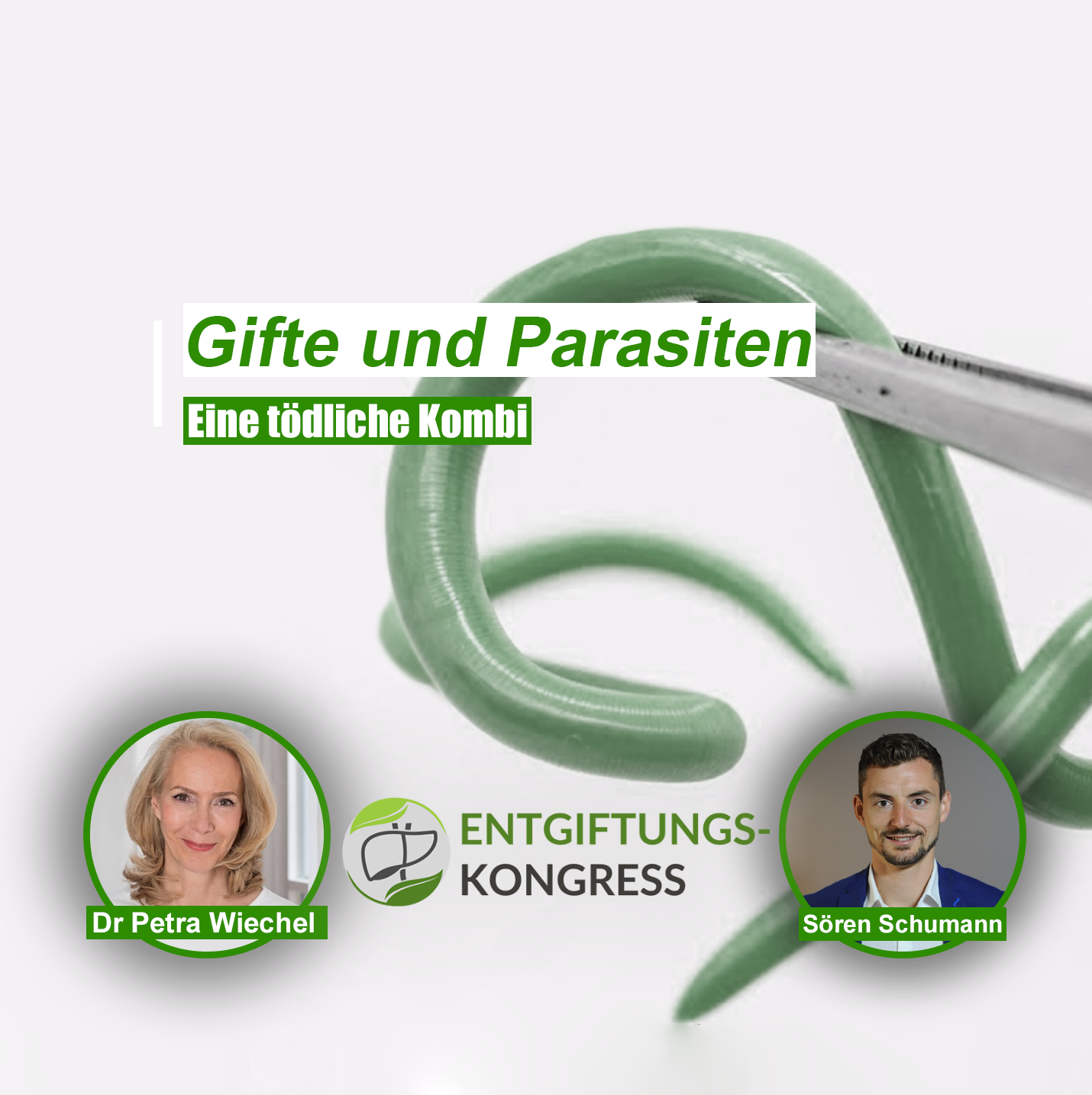 Gesundheit Ganzheitlich
