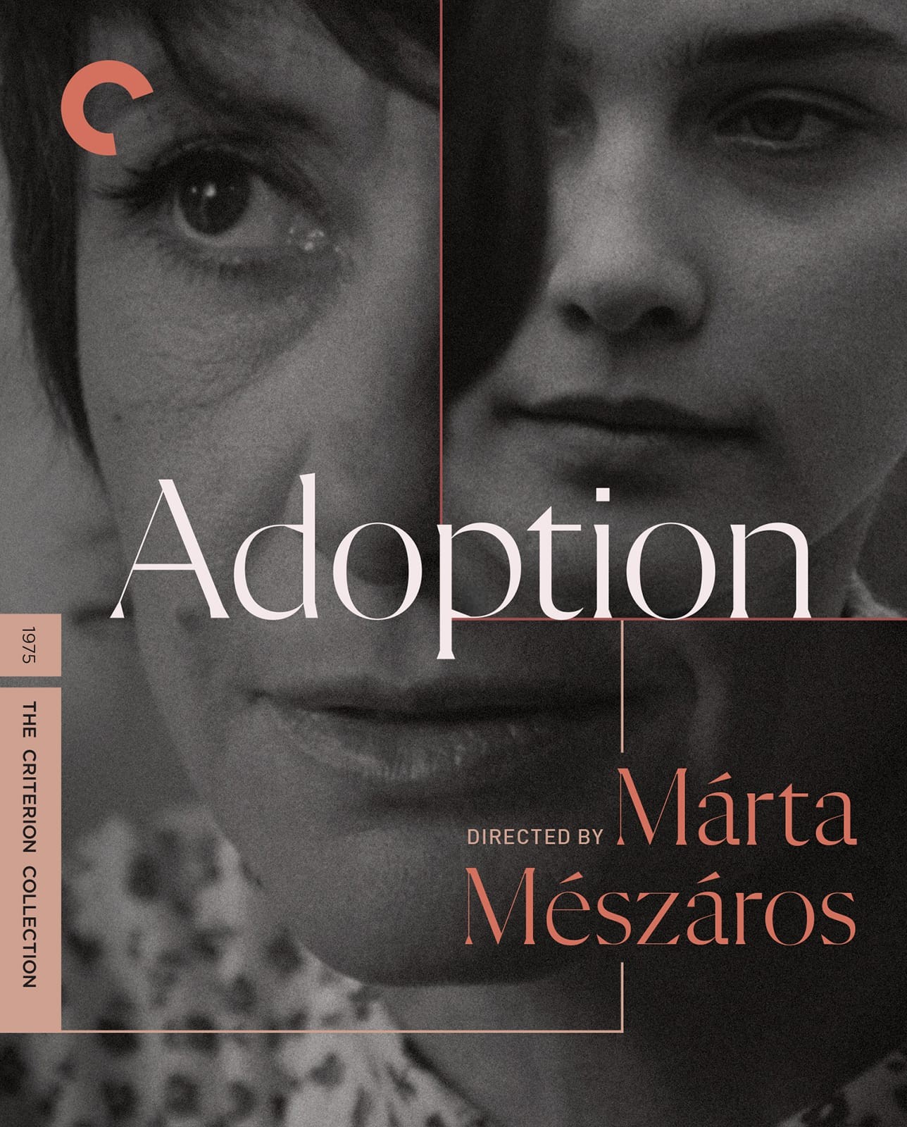 1115 - Adoption (1975)