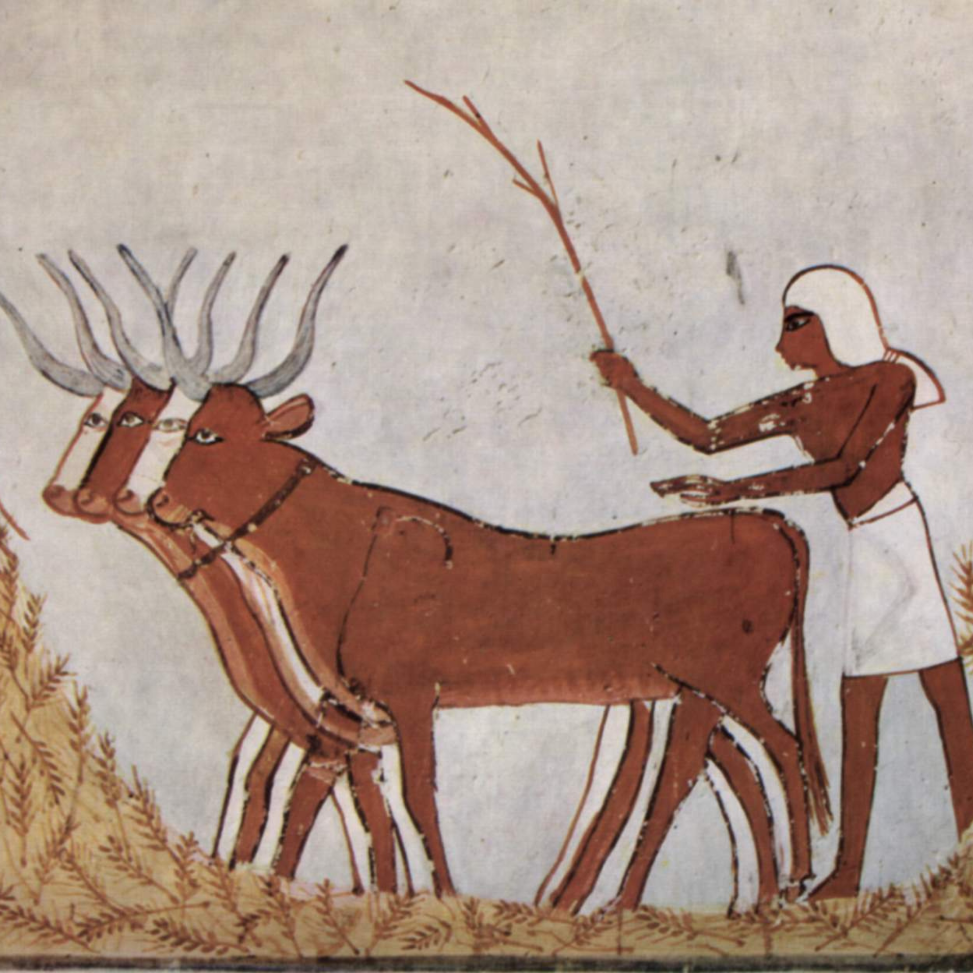Older Farmers