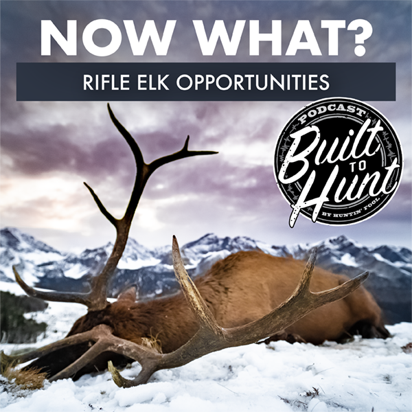 EP 118: Now What? Rifle Elk Tag Opportunities for this Season 