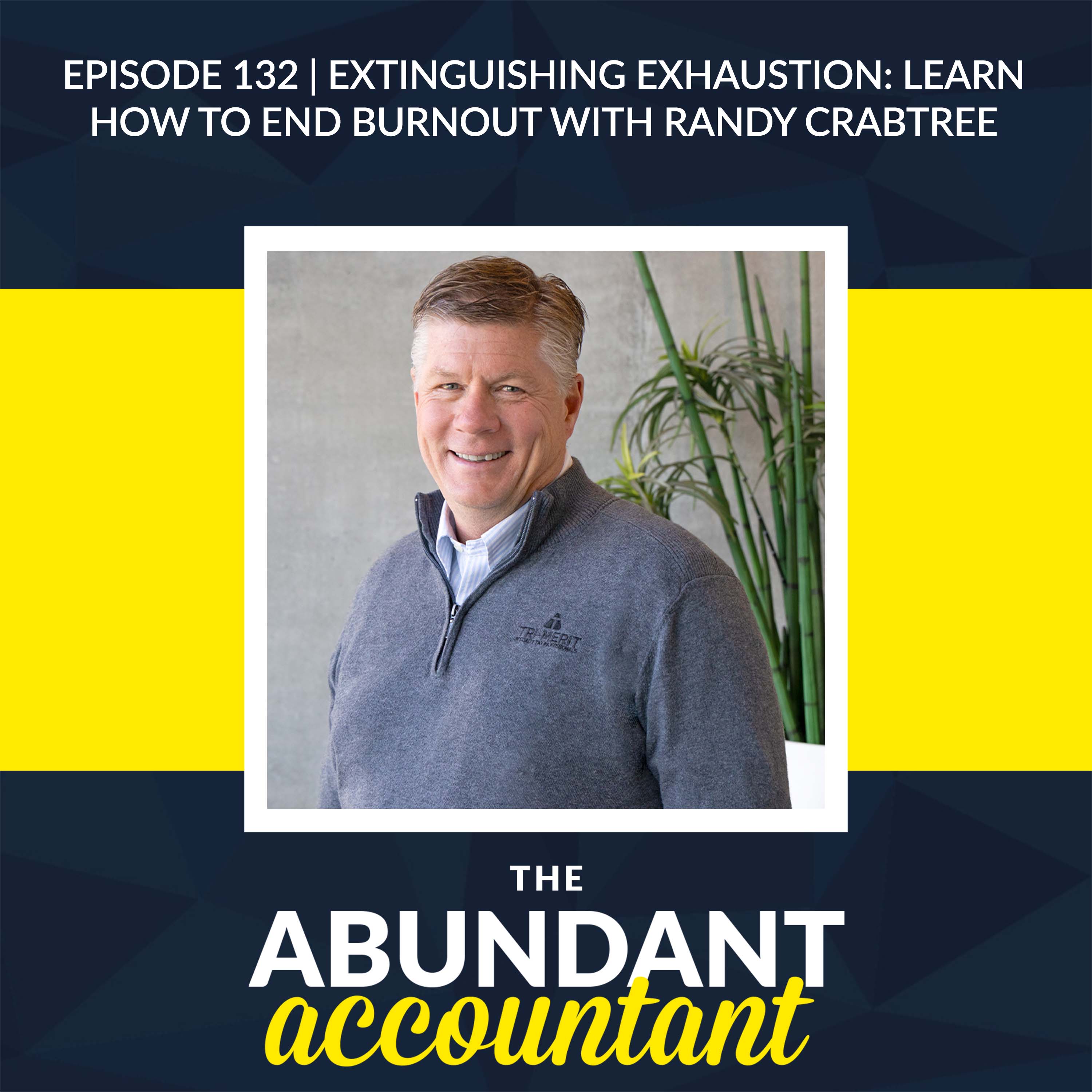 The Abundant Accountant: Leads, Sales & Business Growth for Accounting, Tax and Bookkeeping Professionals