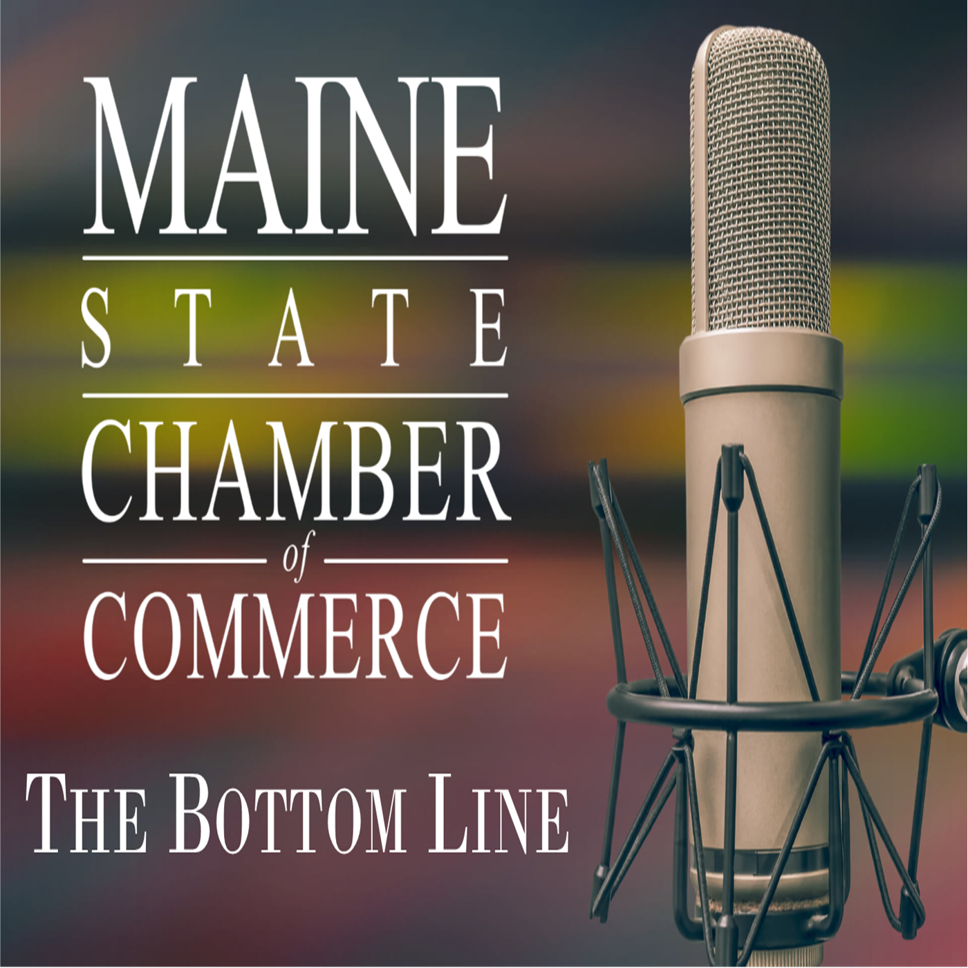 The Bottom Line 3-12-26 with special guest Rich Brooks of Flyte New Media