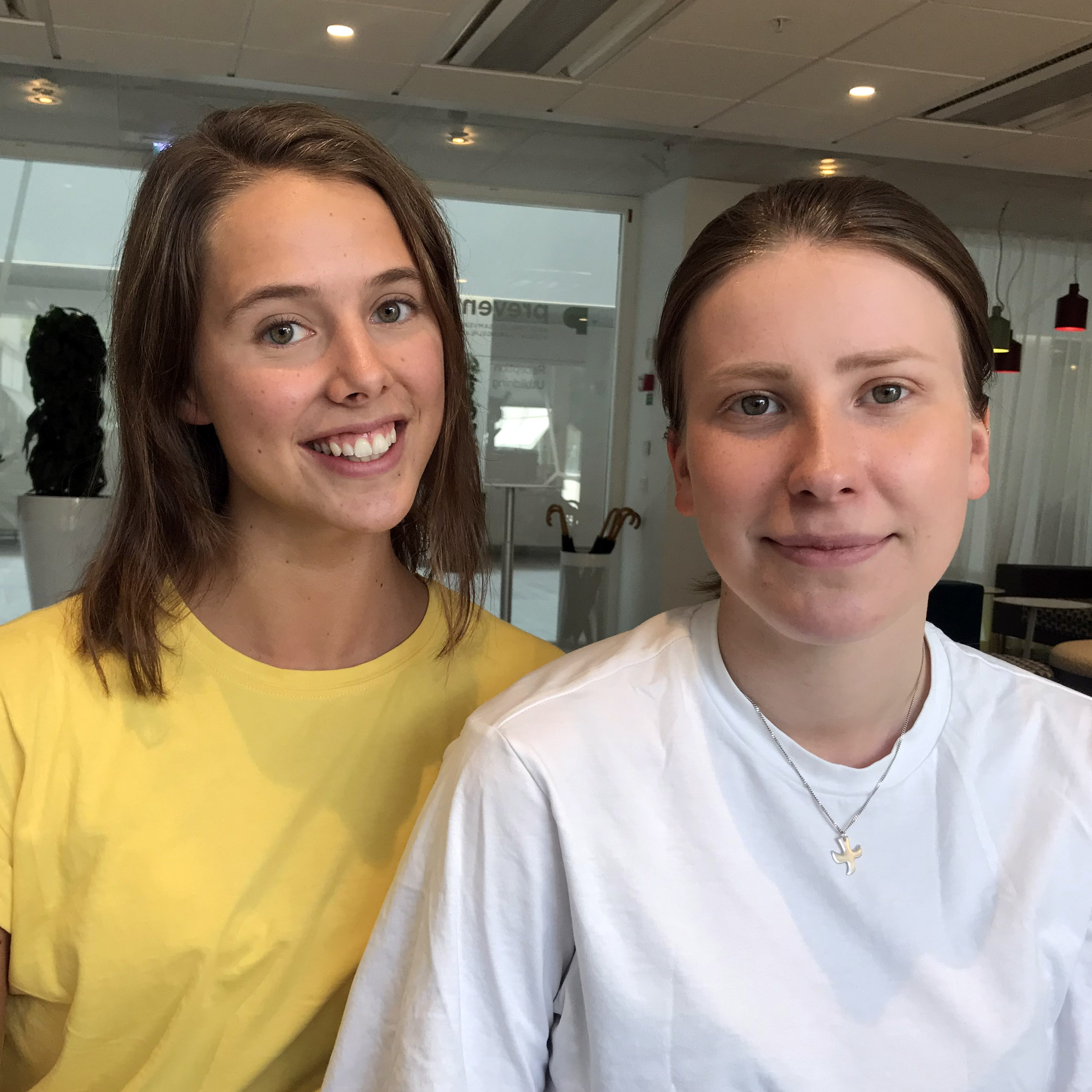 Jobbfika